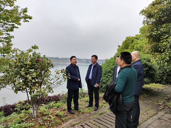 省国资委安稳处督查株洲航电分江南网页版安全生产和防洪防汛工作