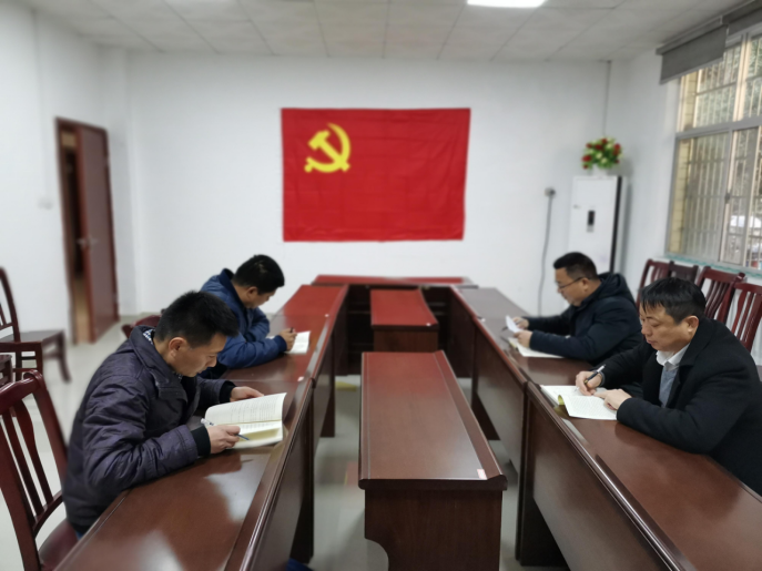 湖南鸟儿巢水电站发电有限江南网页版党支部正式成立