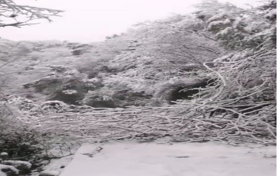 战暴雪、保供电！江南（中国）官方鸟儿巢江南网页版应对极端天气紧急抢修失电故障