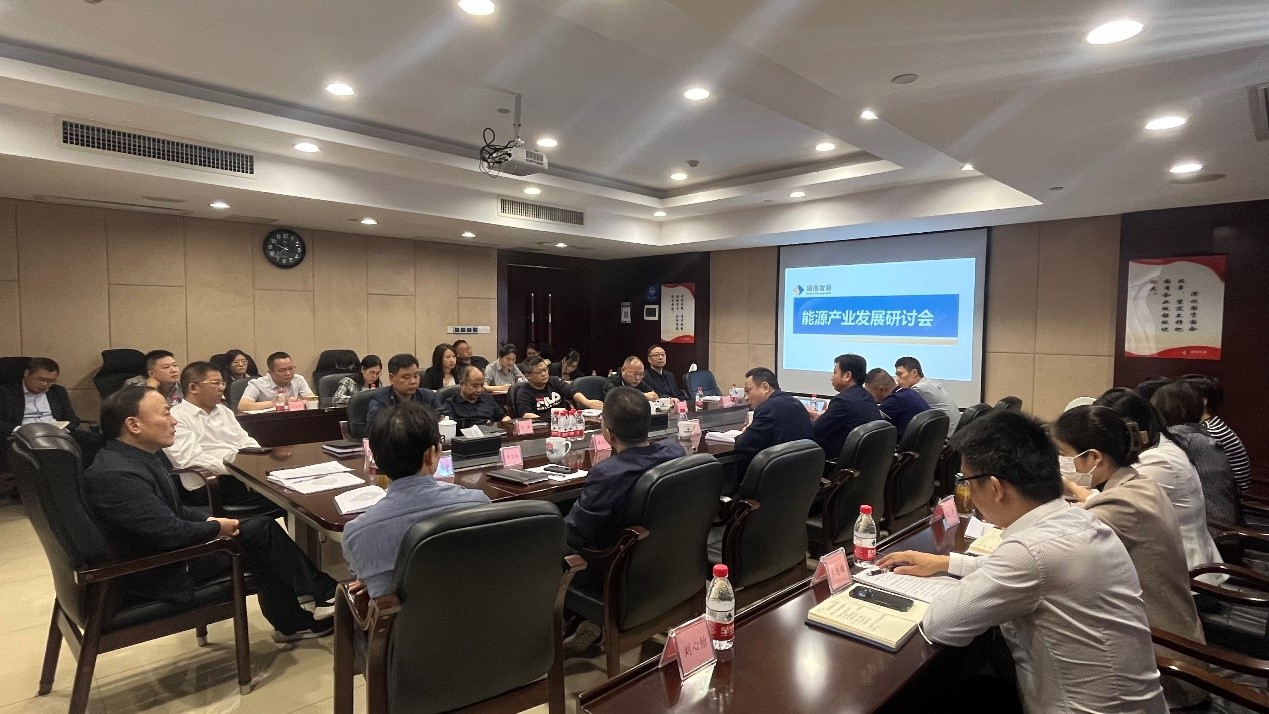 江南（中国）官方召开能源产业发展研讨会