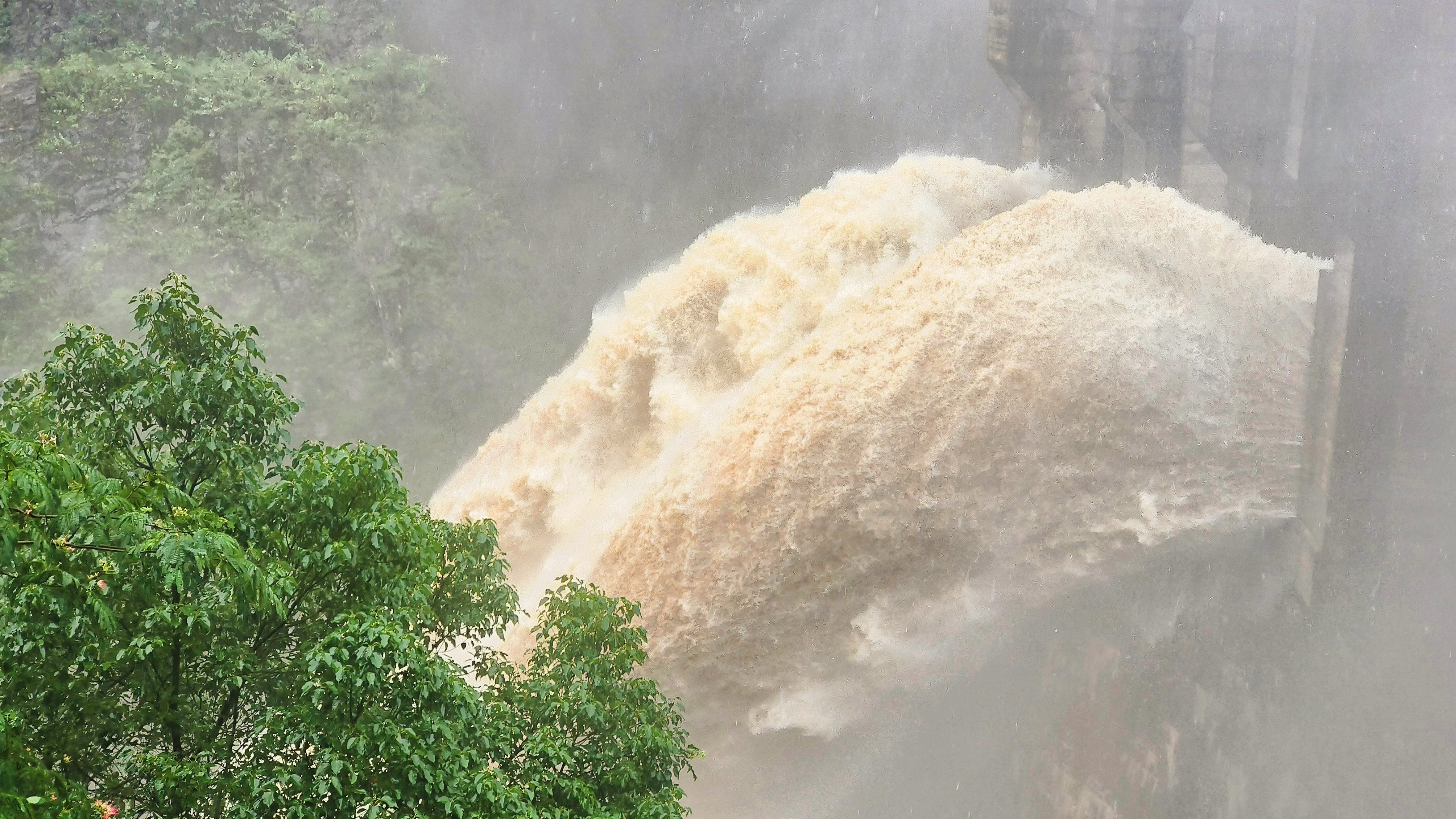 江南（中国）官方丨闻“汛”而动，筑牢防汛“安全墙”